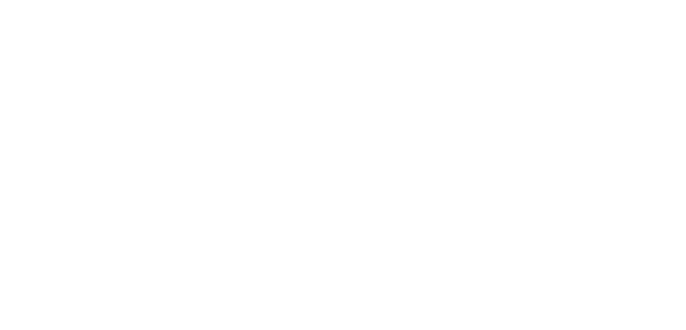 dietingen logo